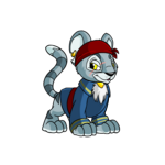 Kougra
