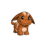 Poogle